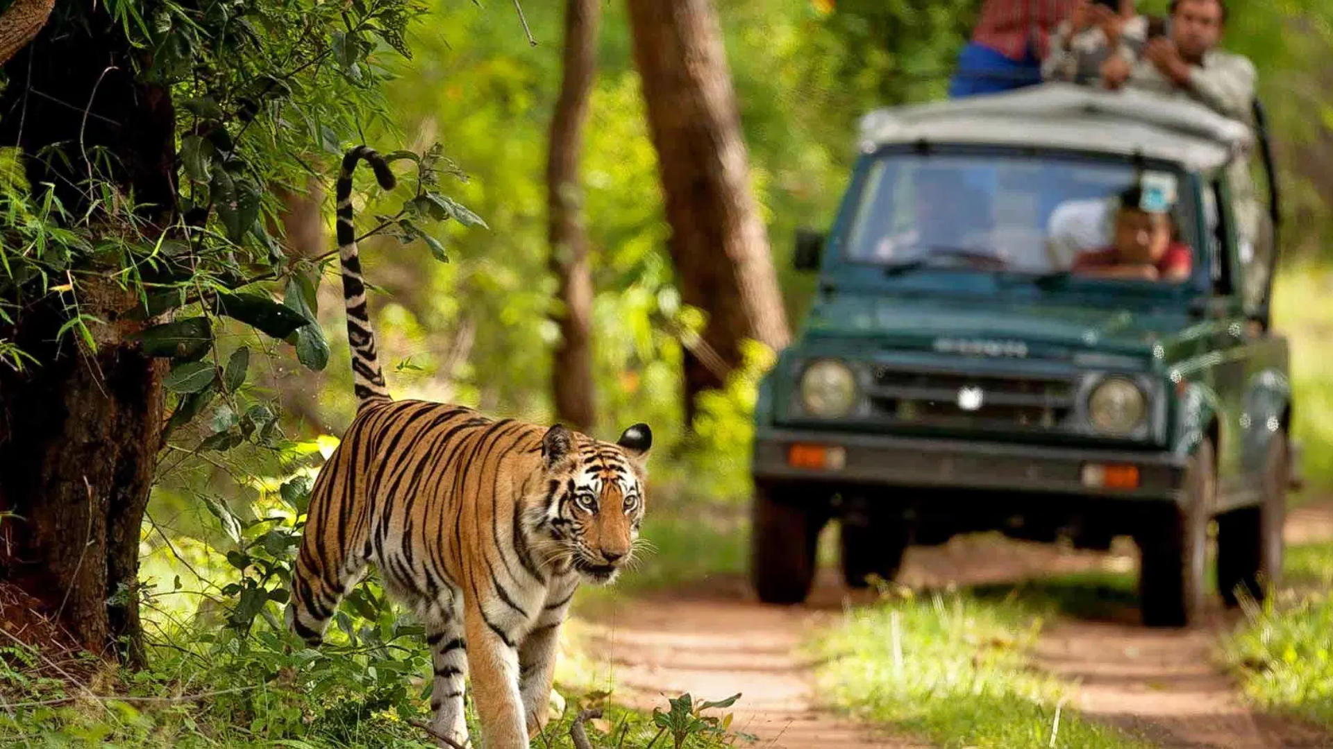 Jim Corbett Corporate